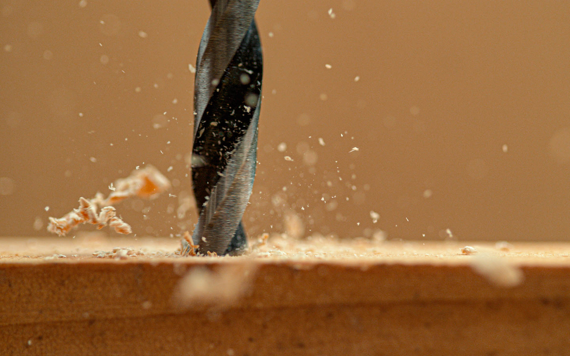 MACRO, DOF: Wood chippings fly off the plank sitting on a carpenter's workbench as handyman drills holes into the workpiece. Sawdust flies off a spinning drill boring a hole into a wooden board.
